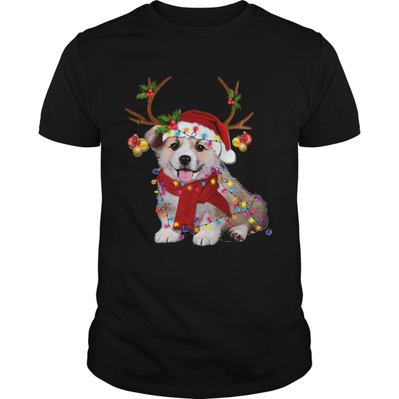 Other - Corgi Gorgeous Reindeer Crewneck Shirt